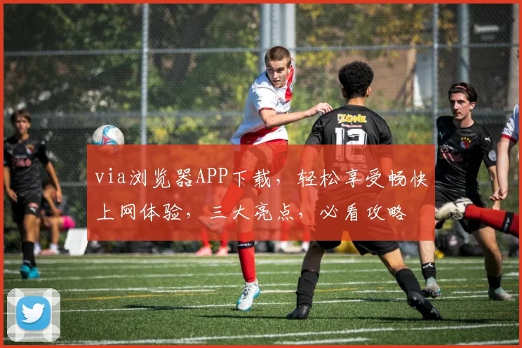 via浏览器APP下载，轻松享受畅快上网体验，三大亮点，必看攻略