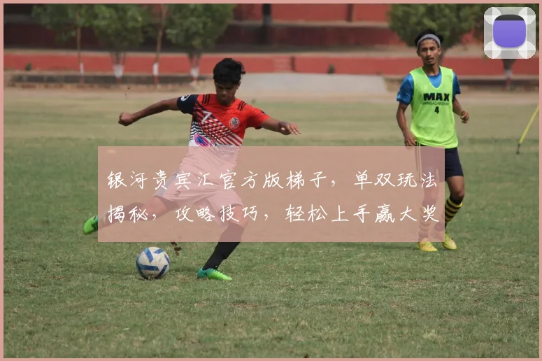 银河贵宾汇官方版梯子，单双玩法揭秘，攻略技巧，轻松上手赢大奖，必看