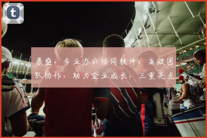 鼎盛，专业办公协同软件，高效团队协作，助力企业成长，三重亮点，一触即达